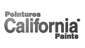 California Paints painting